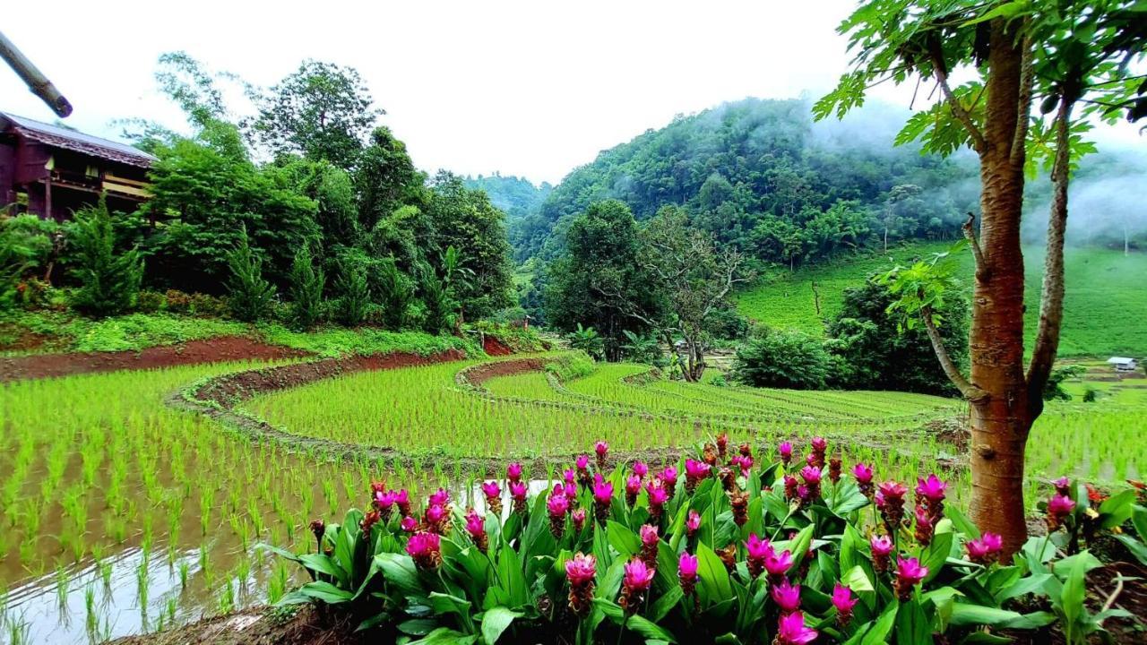 Kowitfarmstay Ban Mae Pan Noi Eksteriør billede