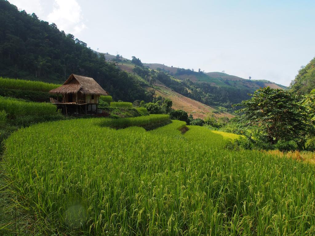 Kowitfarmstay Ban Mae Pan Noi Eksteriør billede