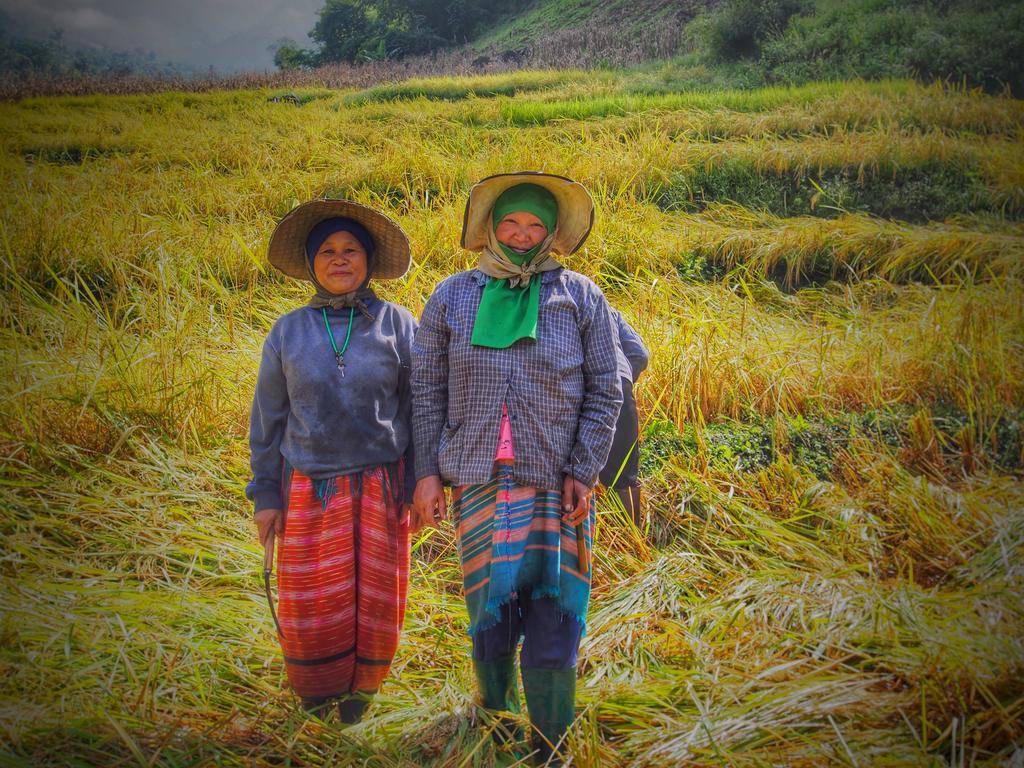 Kowitfarmstay Ban Mae Pan Noi Eksteriør billede