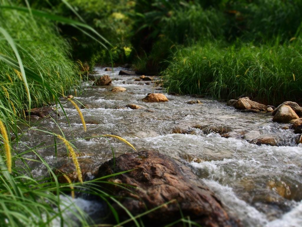 Kowitfarmstay Ban Mae Pan Noi Eksteriør billede