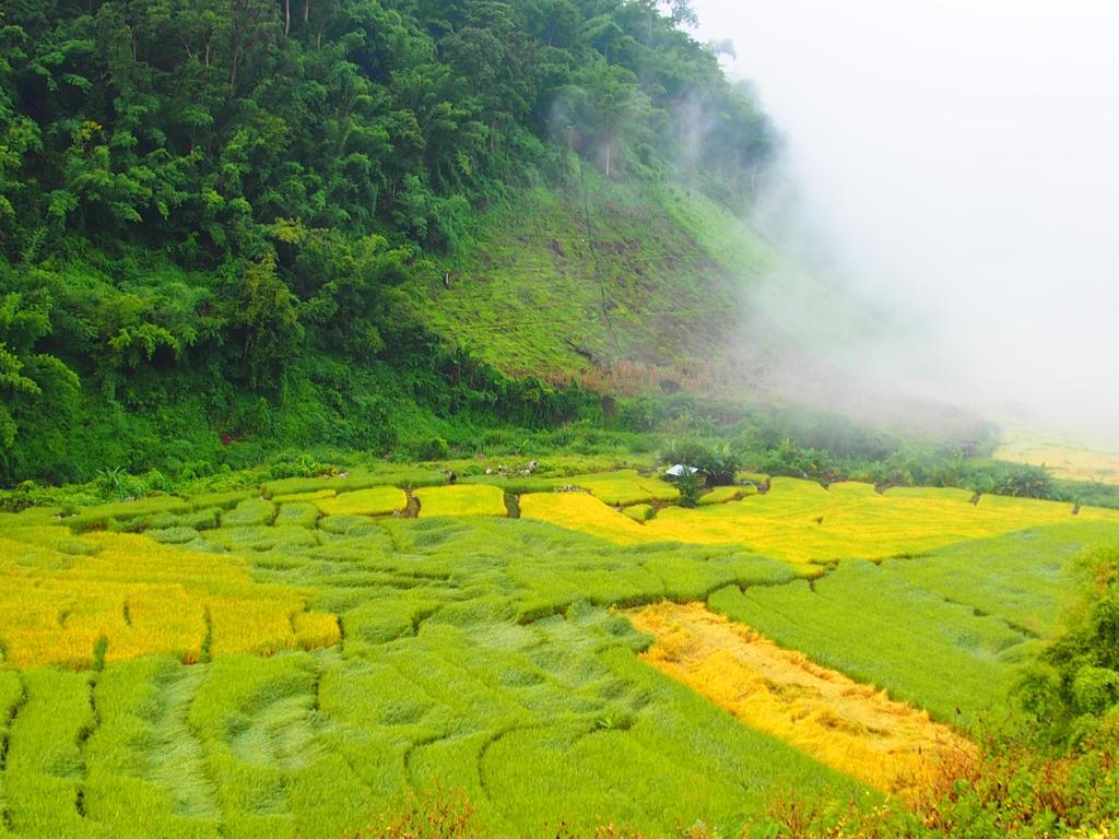 Kowitfarmstay Ban Mae Pan Noi Eksteriør billede