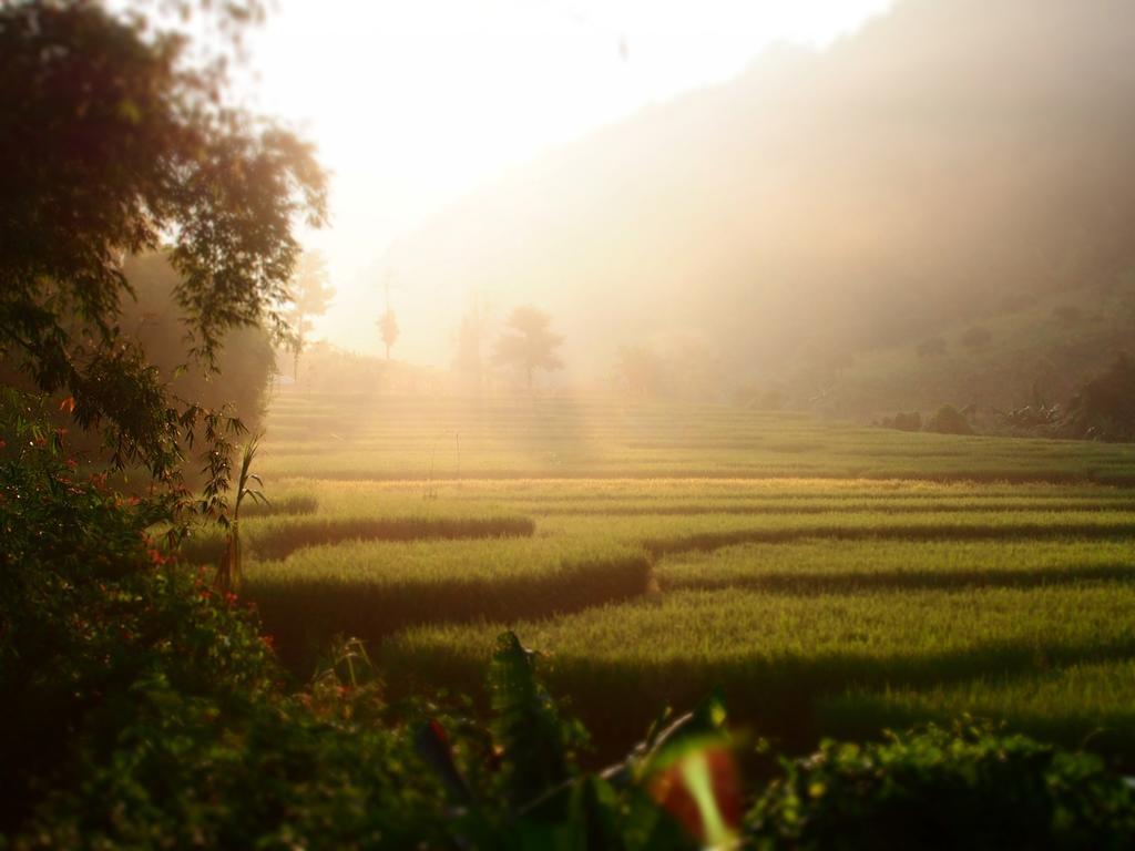 Kowitfarmstay Ban Mae Pan Noi Eksteriør billede