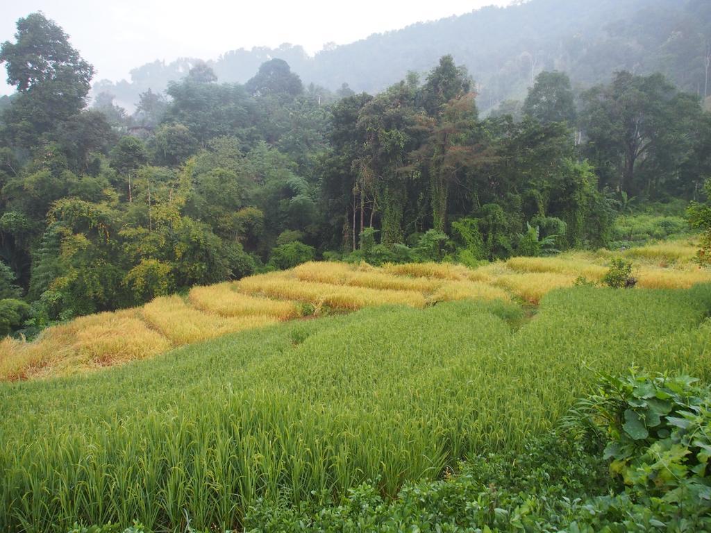 Kowitfarmstay Ban Mae Pan Noi Eksteriør billede