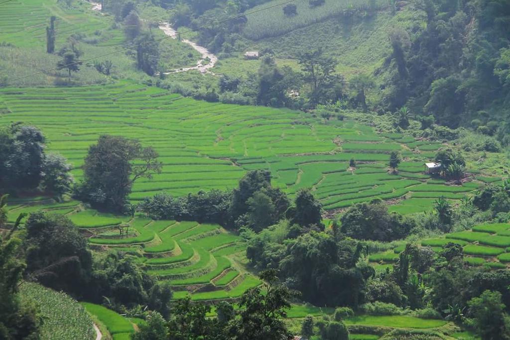 Kowitfarmstay Ban Mae Pan Noi Eksteriør billede