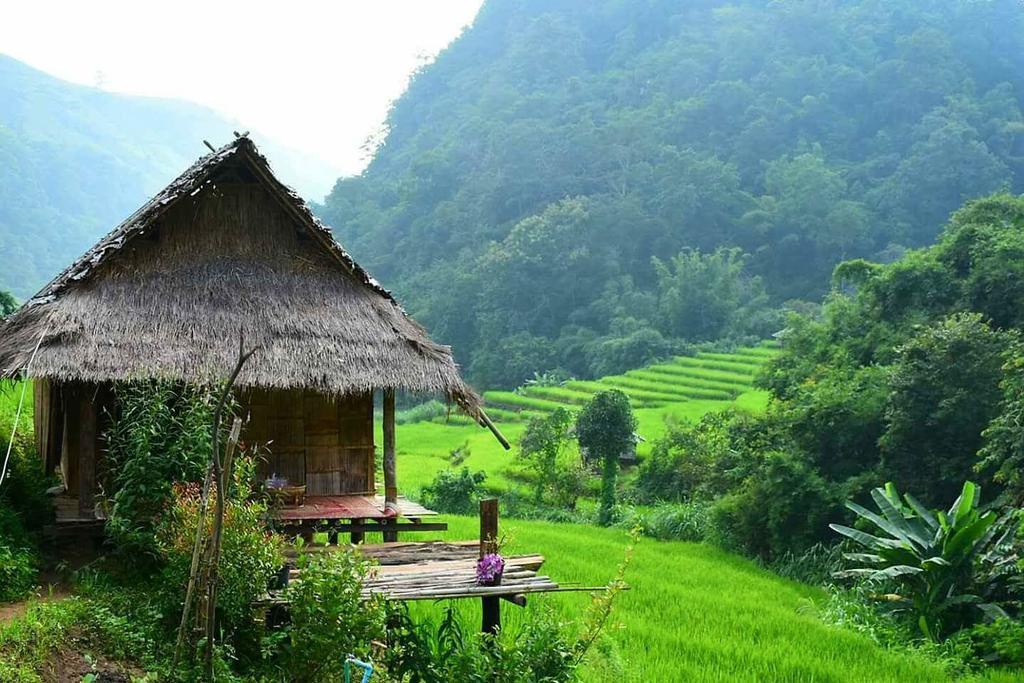 Kowitfarmstay Ban Mae Pan Noi Eksteriør billede