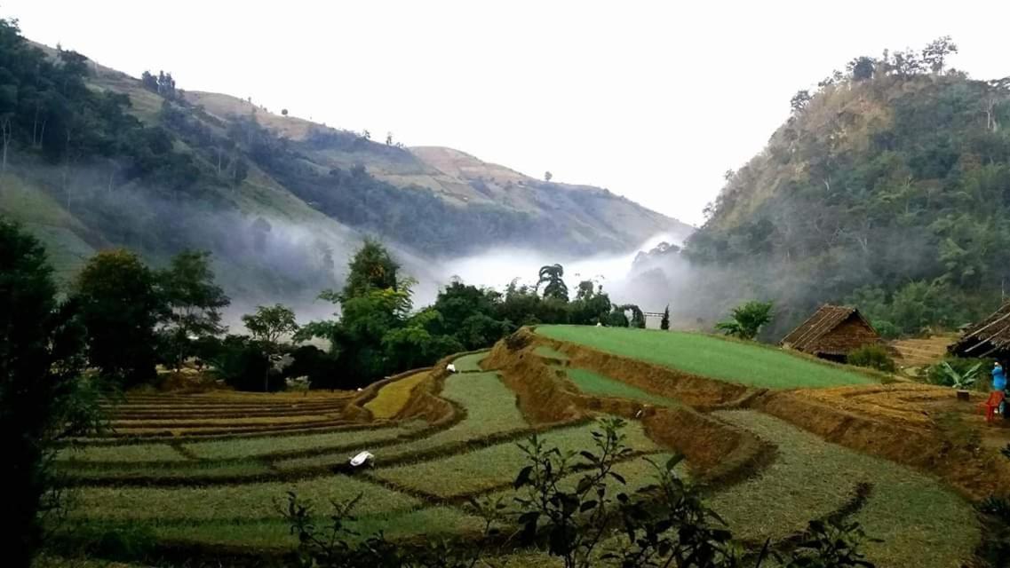 Kowitfarmstay Ban Mae Pan Noi Eksteriør billede